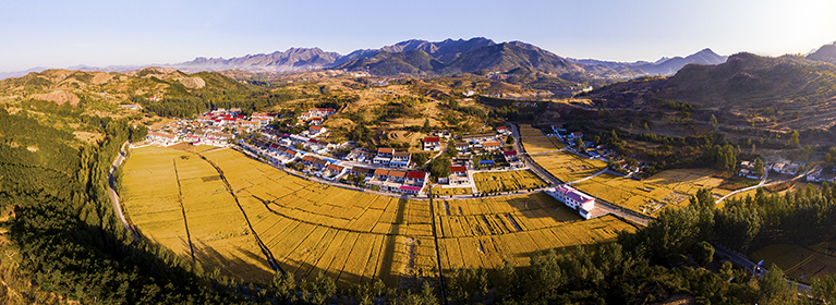 田園民俗體驗游